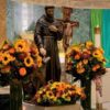 Statue of St Francis of Assisi with a tamed wolf. The statue is surrounded by bouquets of sunflowers. The San Damiano cross stands in the background.