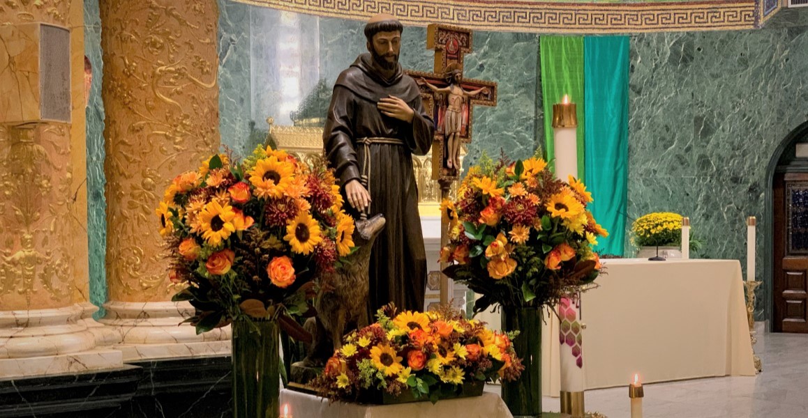 Statue of St Francis of Assisi with a tamed wolf. The statue is surrounded by bouquets of sunflowers. The San Damiano cross stands in the background.