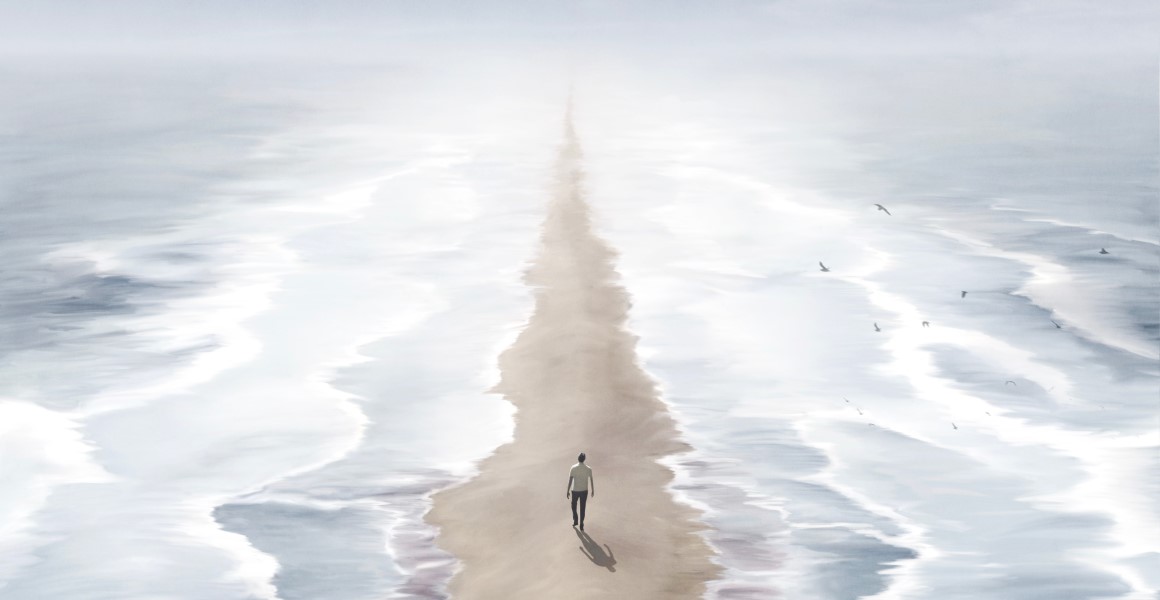 aerial view of a man walking on the beach