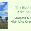 The Elephants Are Coming! Laudato Si Circle High Line Group Walk