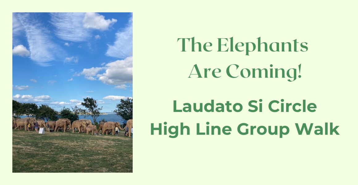 The Elephants Are Coming! Laudato Si Circle High Line Group Walk